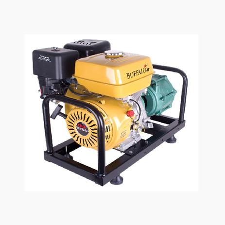 Motobomba Multiestágio a Gasolina 13 HP BFG P15/3 Buffalo Menor preço em Motobomba Multiestágio a Gasolina 13 HP BFG P15/3 Buffalo