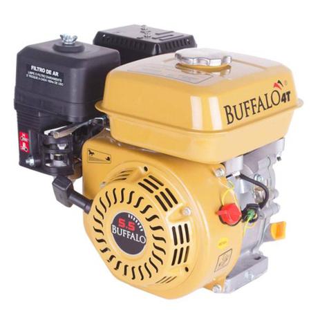 Motor Estacionário a Gasolina 5.5 HP BFG Buffalo Menor preço em Motor Estacionário a Gasolina 5.5 HP BFG Buffalo