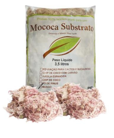 Musgo Esfagno Sphagnum Rosa Para Orquídeas e Carnívoras - Embalagem de 3,5 Litros - Mococa Substrato Menor preço em Musgo Esfagno Sphagnum Rosa Para Orquídeas e Carnívoras - Embalagem de 3,5 Litros - Mococa Substrato