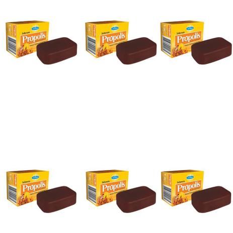 Nevasca Própolis Sabonete 100g (Kit C/06) Menor preço em Nevasca Própolis Sabonete 100g (Kit C/06)