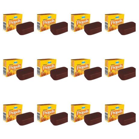 Nevasca Própolis Sabonete 100g (Kit C/12) Menor preço em Nevasca Própolis Sabonete 100g (Kit C/12)