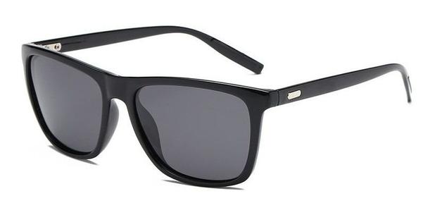 O que é Lente Polarizada?