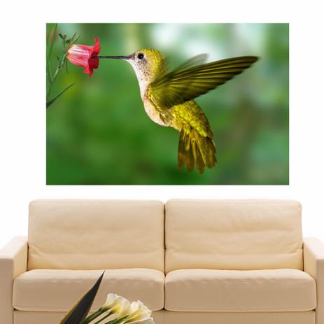 Painel Adesivo de Parede - Beija-Flor - 126png - Allodi Menor preço em Painel Adesivo de Parede - Beija-Flor - 126png - Allodi