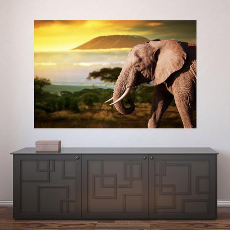 Painel Adesivo de Parede - Elefante - 241pnm - Allodi é boa?