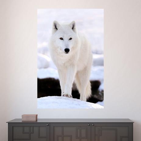 Painel Adesivo de Parede - Lobo Branco - 586png - Allodi é boa?