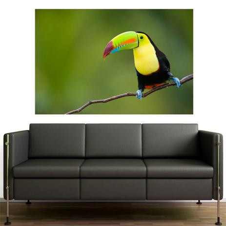 Painel Adesivo de Parede - Tucano - 131pnm - Allodi é ruim? Painel Adesivo de Parede - Tucano - 131pnm - Allodi é boa?