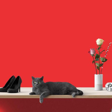 Papel de Parede Adesivo Rolo 0,58x3,00M Liso Vermelho 12 - Papel na parede - 4724 é boa?