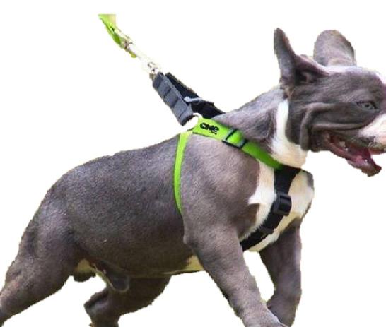 Peitoral para cachorro One Dog - Preto e Verde - Tamanho P Menor preço em Peitoral para cachorro One Dog - Preto e Verde - Tamanho P