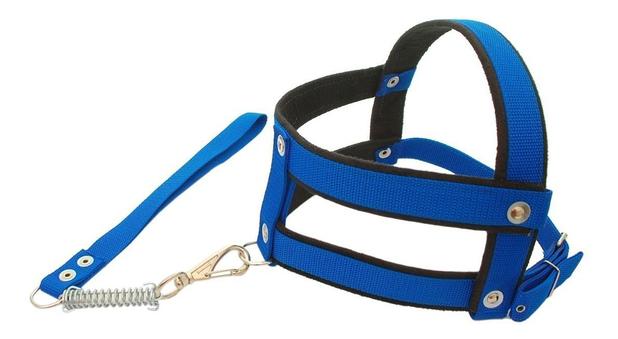 Peitoral para cao Clearance