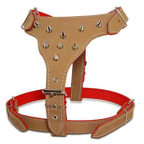 Peitoral Para Pit Bull cachorros Bull Terrier Marrom - Couro dog Menor preço em Peitoral Para Pit Bull cachorros Bull Terrier Marrom - Couro dog