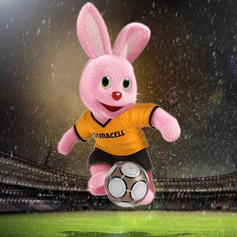 Pilha Alcalina AAA Palito com 2 Unidades - Duracell é boa?