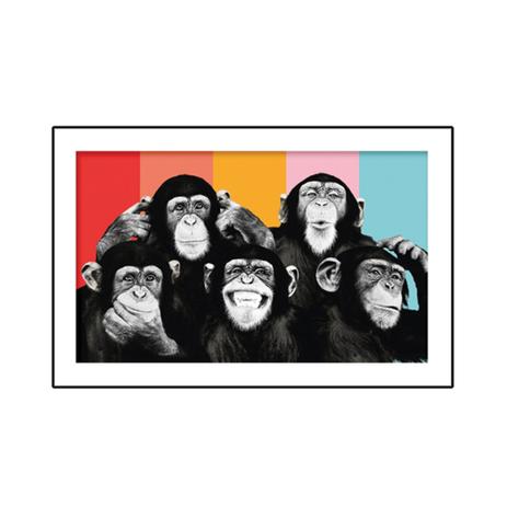 Placa Decorativa - Expressões Macacos - cod. 5298 - Cia. laser Menor preço em Placa Decorativa - Expressões Macacos - cod. 5298 - Cia. laser