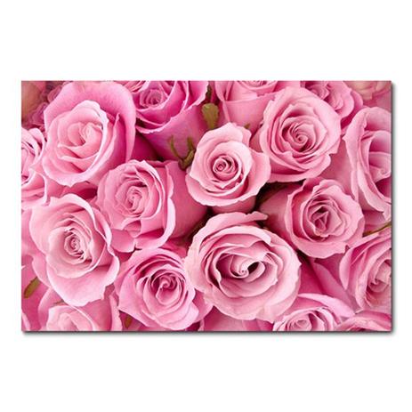 Placa Decorativa - Flor - 0316plmk - Allodi Menor preço em Placa Decorativa - Flor - 0316plmk - Allodi
