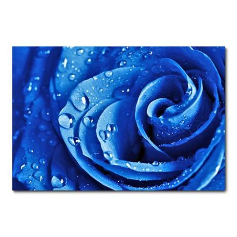 Placa Decorativa - Flor - 0318plmk - Allodi Menor preço em Placa Decorativa - Flor - 0318plmk - Allodi