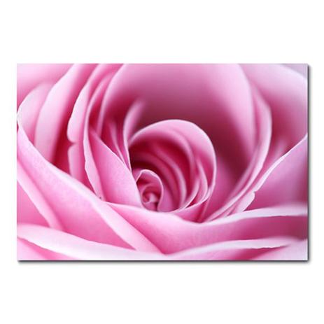 Placa Decorativa - Flor - 0320plmk - Allodi Menor preço em Placa Decorativa - Flor - 0320plmk - Allodi