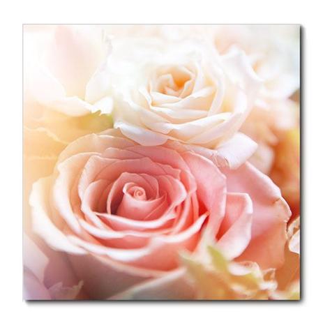 Placa Decorativa - Rosa - Flores - 1239plmk - Allodi Menor preço em Placa Decorativa - Rosa - Flores - 1239plmk - Allodi
