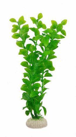Menor preço em Planta Artificial Em Plástico Decoração Aquário Skr 25cm - Pet import
