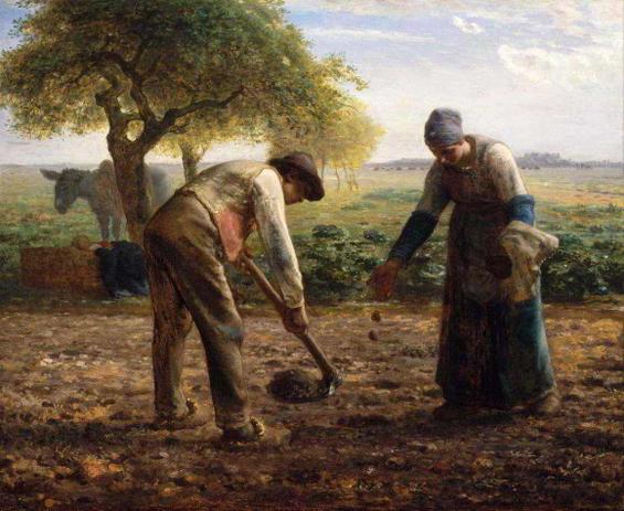 Plantadores de Batatas - Jean-François Millet - Tela 50x61 Para Quadro - Santhatela é ruim? Plantadores de Batatas - Jean-François Millet - Tela 50x61 Para Quadro - Santhatela é boa?