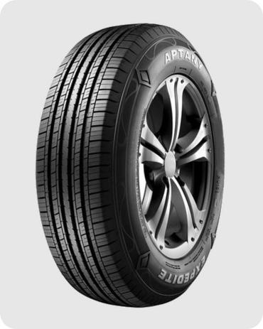 Pneu APTANY Aro 15” 31X10,50 R15 109S - RL101 Menor preço em Pneu APTANY Aro 15” 31X10,50 R15 109S - RL101