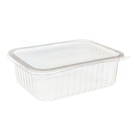 Pote de Plástico Descartável para Alimentos Retangular com Tampa 1000ml com 24 Unidades Prafesta Menor preço em Pote de Plástico Descartável para Alimentos Retangular com Tampa 1000ml com 24 Unidades Prafesta