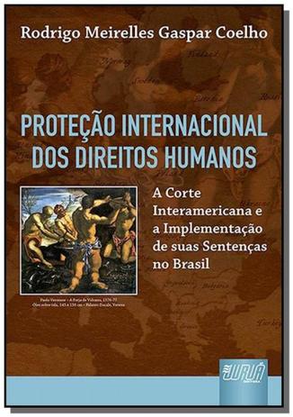 Protecao internacional dos direitos humanos - a co - Jurua Menor preço em Protecao internacional dos direitos humanos - a co - Jurua
