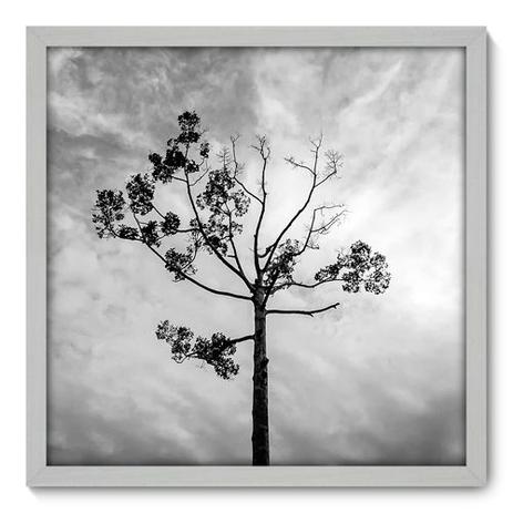 Quadro Decorativo - Árvore - 50cm x 50cm - 014qnpcb - Allodi é boa?