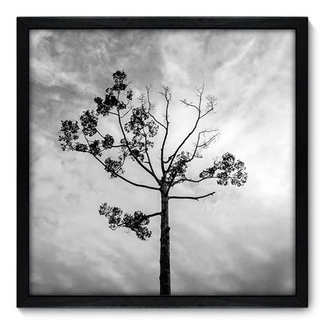 Quadro Decorativo - Árvore - 50cm x 50cm - 014qnpcp - Allodi é boa?