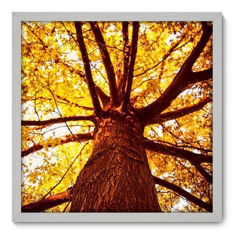Quadro Decorativo - Árvore - 50cm x 50cm - 030qndcb - Allodi é boa?