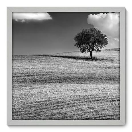 Quadro Decorativo - Árvore - 50cm x 50cm - 035qnpcb - Allodi Menor preço em Quadro Decorativo - Árvore - 50cm x 50cm - 035qnpcb - Allodi