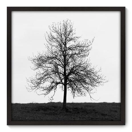 Quadro Decorativo - Árvore - 70cm x 70cm - 013qnpdp - Allodi é boa?