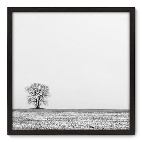 Quadro Decorativo - Árvore - 70cm x 70cm - 029qnpdp - Allodi é boa?