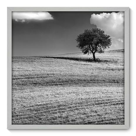Quadro Decorativo - Árvore - 70cm x 70cm - 035qnpdb - Allodi Menor preço em Quadro Decorativo - Árvore - 70cm x 70cm - 035qnpdb - Allodi