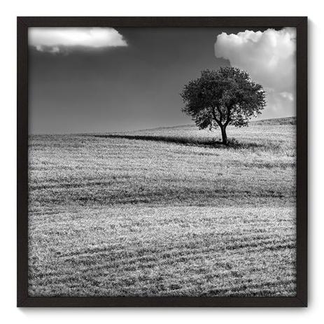 Quadro Decorativo - Árvore - 70cm x 70cm - 035qnpdp - Allodi é boa?