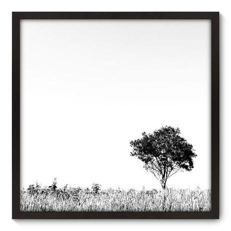 Quadro Decorativo - Árvore - 70cm x 70cm - 042qnpdp - Allodi Menor preço em Quadro Decorativo - Árvore - 70cm x 70cm - 042qnpdp - Allodi