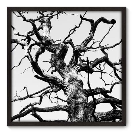 Quadro Decorativo - Árvore - 70cm x 70cm - 043qnpdp - Allodi é boa?