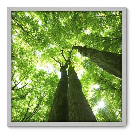 Quadro Decorativo - Árvore - 70cm x 70cm - 050qnpdb - Allodi Menor preço em Quadro Decorativo - Árvore - 70cm x 70cm - 050qnpdb - Allodi