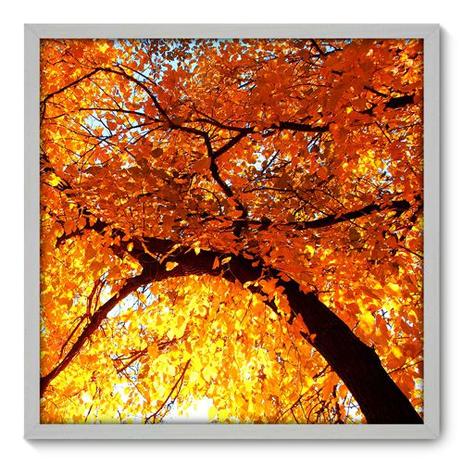 Quadro Decorativo - Árvore - 70cm x 70cm - 052qnpdb - Allodi é boa?