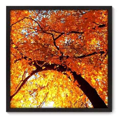 Quadro Decorativo - Árvore - 70cm x 70cm - 052qnpdp - Allodi é boa?