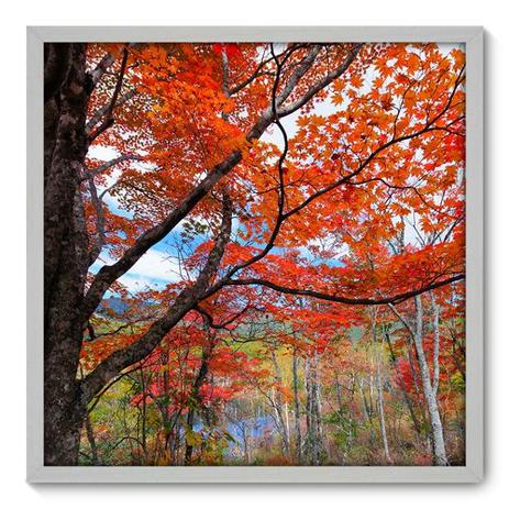 Quadro Decorativo - Árvore - 70cm x 70cm - 061qnddb - Allodi é boa?