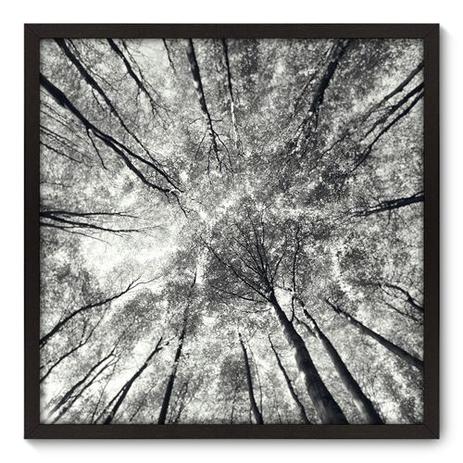 Quadro Decorativo - Árvores - 70cm x 70cm - 036qnpdp - Allodi é boa?