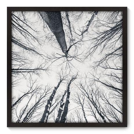 Quadro Decorativo - Árvores - 70cm x 70cm - 044qnpdp - Allodi é boa?