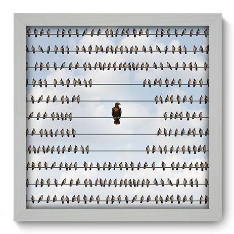 Quadro Decorativo - Aves - 33cm x 33cm - 205qdsb - Allodi Menor preço em Quadro Decorativo - Aves - 33cm x 33cm - 205qdsb - Allodi