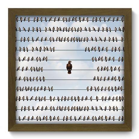 Quadro Decorativo - Aves - 33cm x 33cm - 205qdsm - Allodi Menor preço em Quadro Decorativo - Aves - 33cm x 33cm - 205qdsm - Allodi