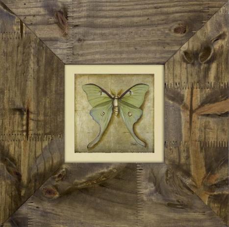 Quadro Decorativo Borboleta II Rústico 40x40cm - Decore pronto Menor preço em Quadro Decorativo Borboleta II Rústico 40x40cm - Decore pronto