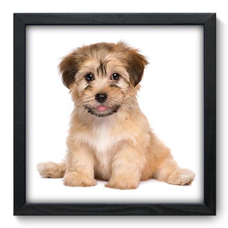 Quadro Decorativo - Cachorro - 33cm x 33cm - 186qdsp - Allodi Menor preço em Quadro Decorativo - Cachorro - 33cm x 33cm - 186qdsp - Allodi
