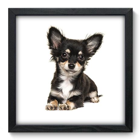 Quadro Decorativo - Cachorro - 33cm x 33cm - 187qdsp - Allodi é boa?
