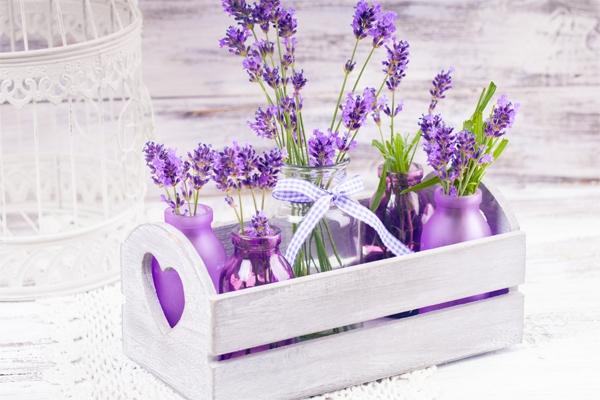 Quadro Decorativo Canvas p/ Lavabo Banheiro Clínica Estética Spas Lavanda I A - Incasa design Menor preço em Quadro Decorativo Canvas p/ Lavabo Banheiro Clínica Estética Spas Lavanda I A - Incasa design