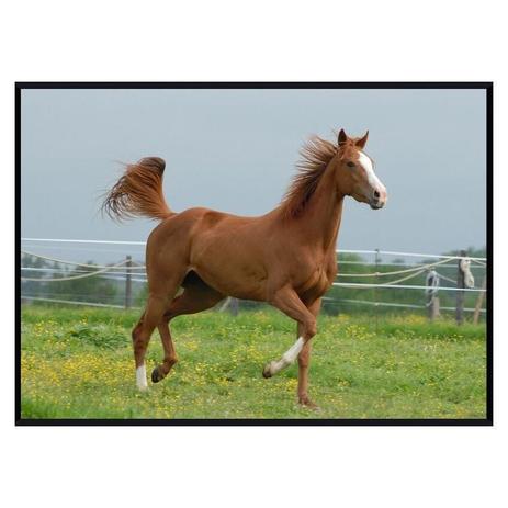 Quadro Decorativo Cavalo Marrom em Paisagem de Campo 140x100cm - Decore pronto Menor preço em Quadro Decorativo Cavalo Marrom em Paisagem de Campo 140x100cm - Decore pronto