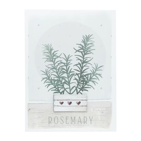 Quadro Decorativo Colorido Vaso Rosemary 30x40cm Urban Menor preço em Quadro Decorativo Colorido Vaso Rosemary 30x40cm Urban