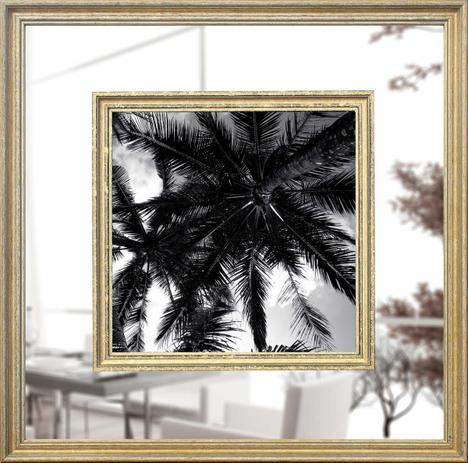 Quadro Decorativo com Margem de Espelho Tropical Palmeira 55x55cm - Decore pronto Menor preço em Quadro Decorativo com Margem de Espelho Tropical Palmeira 55x55cm - Decore pronto
